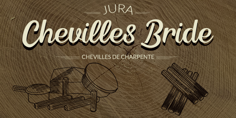 DRESSOOS Lot De 2 Chevilles En Bois Pour Instrument Chinois Erhu - Réglage Précis